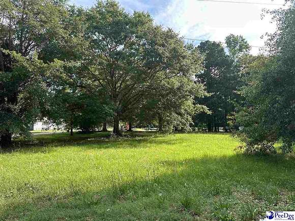 0.26 Acres of Residential Land for Sale in Dillon, South Carolina