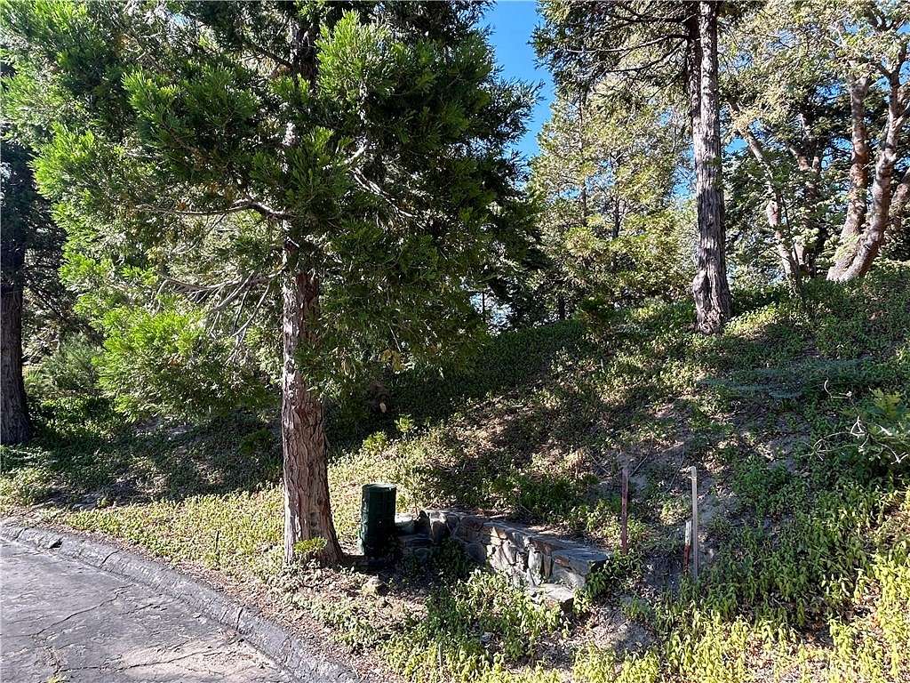 1.228 Acres of Land for Sale in Lake Arrowhead, California