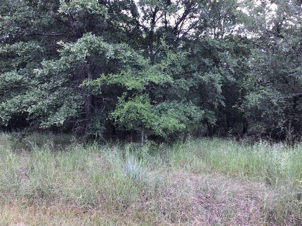 0.138 Acres of Residential Land for Sale in Whitney, Texas