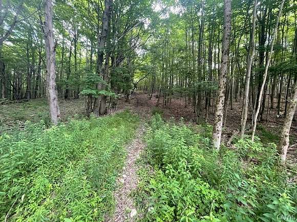 22.356 Acres of Recreational Land for Sale in Virgil, New York