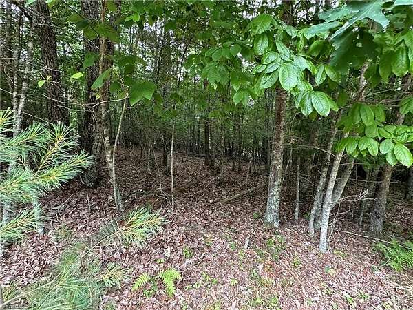 1.63 Acres of Residential Land for Sale in Galax, Virginia