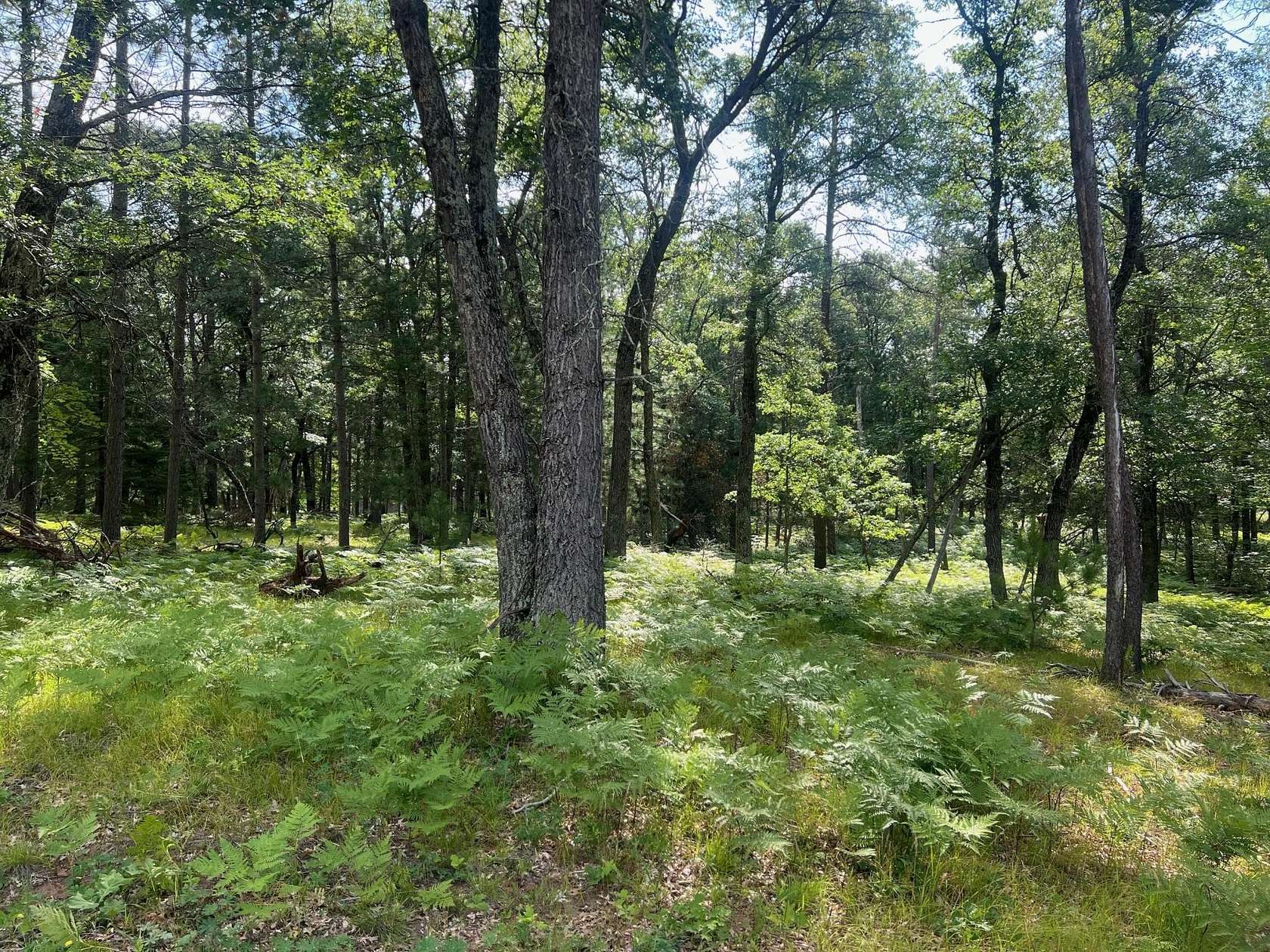 0.53 Acres of Residential Land for Sale in Danbury, Wisconsin