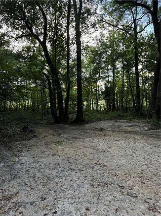 5.24 Acres of Residential Land for Sale in Reidsville, Georgia