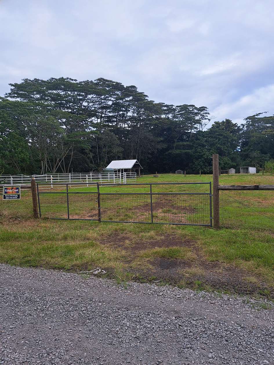 1 Acres of Land for Sale in Keaau, Hawaii
