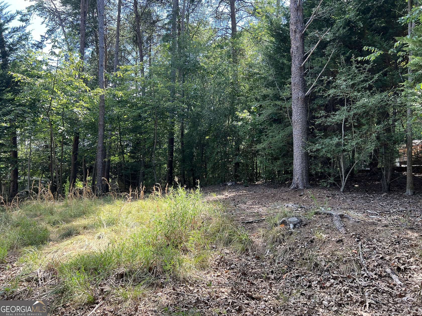 0.1 Acres of Residential Land for Sale in Hartwell, Georgia