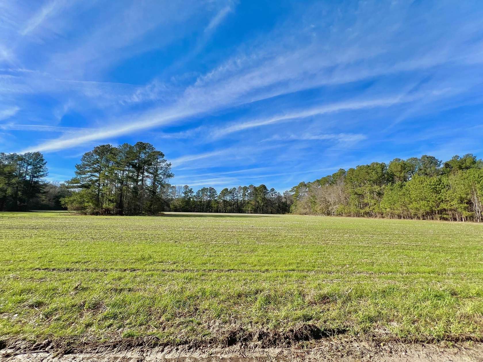 10 Acres of Residential Land for Sale in St. George, South Carolina