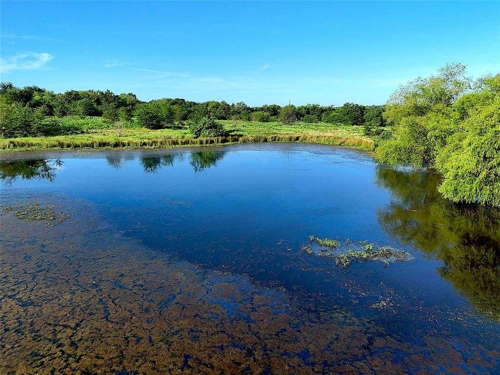 27 Acres of Agricultural Land for Sale in Mount Vernon, Texas