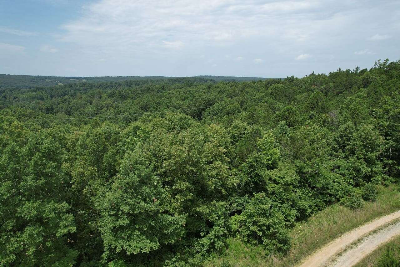 11 Acres of Recreational Land for Sale in Fredericktown, Missouri