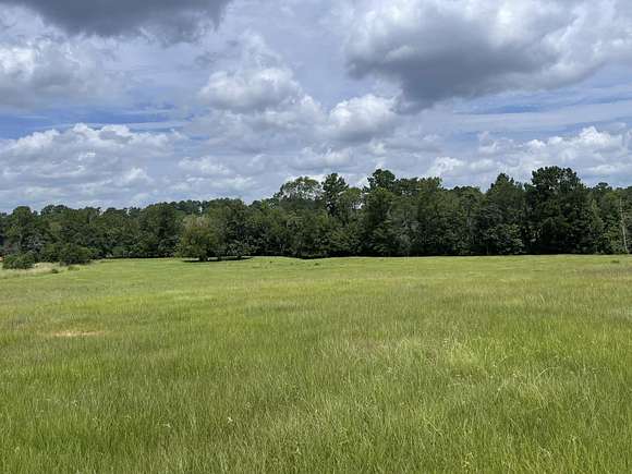 3 Acres of Residential Land for Sale in Hillister, Texas