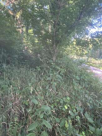 10 Acres of Residential Land for Sale in Winchester, Kentucky