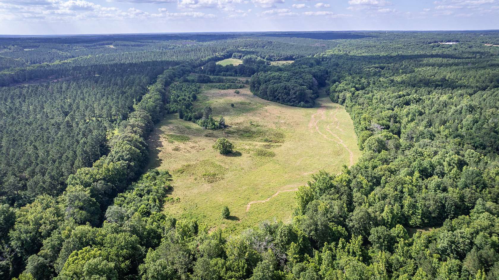 348.07 Acres of Recreational Land & Farm for Sale in Maxeys, Georgia
