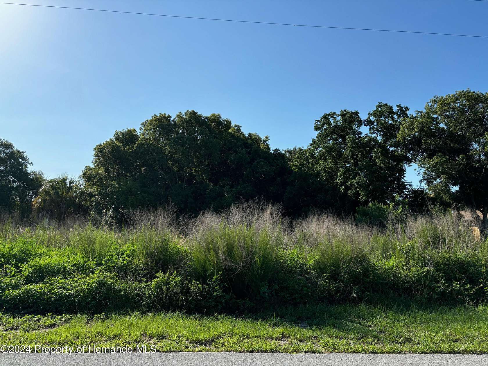 0.344 Acres of Residential Land for Sale in Spring Hill, Florida