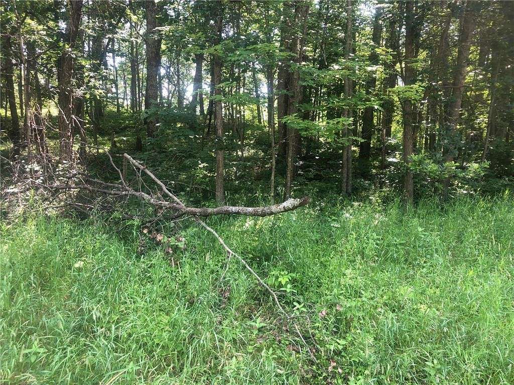 0.48 Acres of Land for Sale in Breezy Point, Minnesota