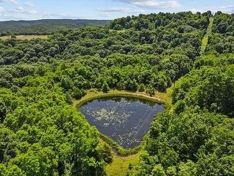 43.66 Acres of Recreational Land for Sale in Combs, Arkansas