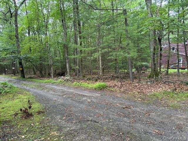 14.09 Acres of Land for Sale in Mamakating Town, New York