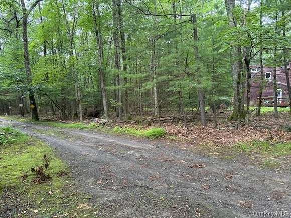 14.09 Acres of Land for Sale in Mamakating Town, New York