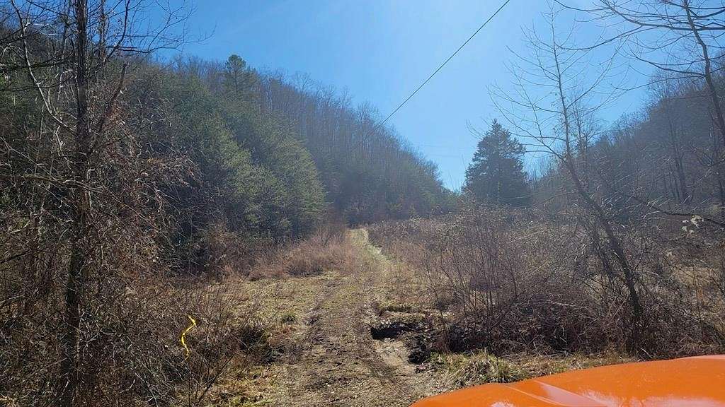 30 Acres of Recreational Land for Sale in Whitehouse, Kentucky