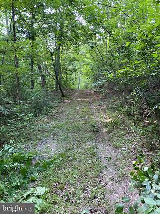 5.05 Acres of Residential Land for Sale in Reva, Virginia