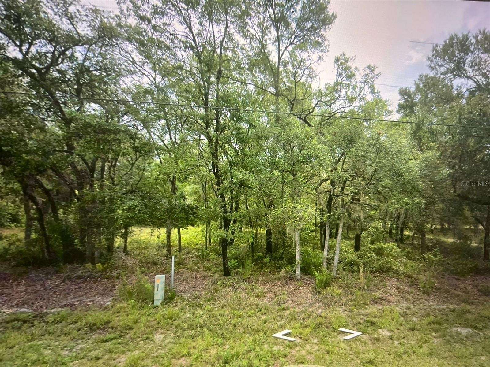 0.22 Acres of Residential Land for Sale in Hernando, Florida