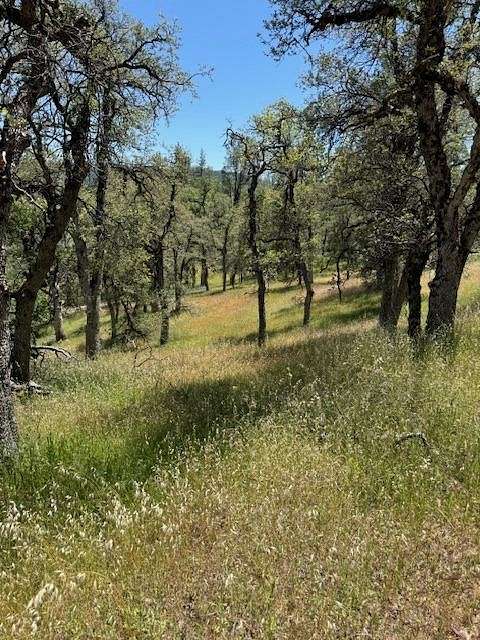 40 Acres of Recreational Land for Sale in Sheep Ranch, California