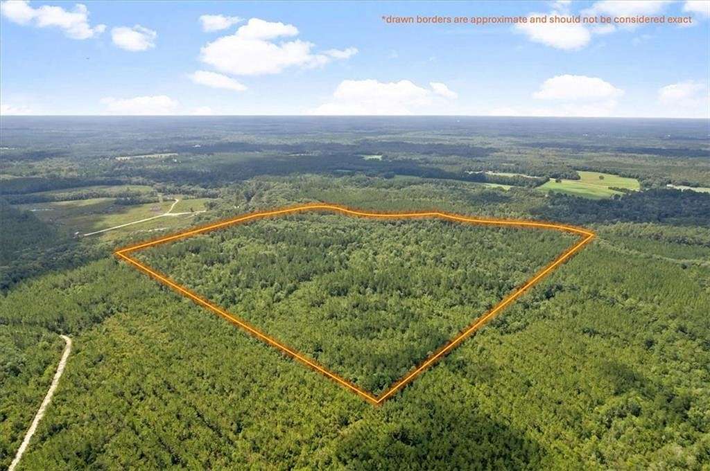 90 Acres of Recreational Land & Farm for Sale in Hortense, Georgia