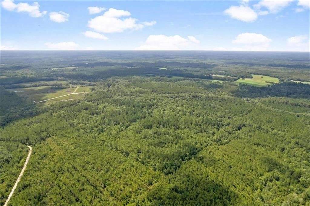 90 Acres of Recreational Land & Farm for Sale in Hortense, Georgia