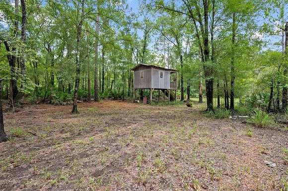 90 Acres of Recreational Land & Farm for Sale in Hortense, Georgia