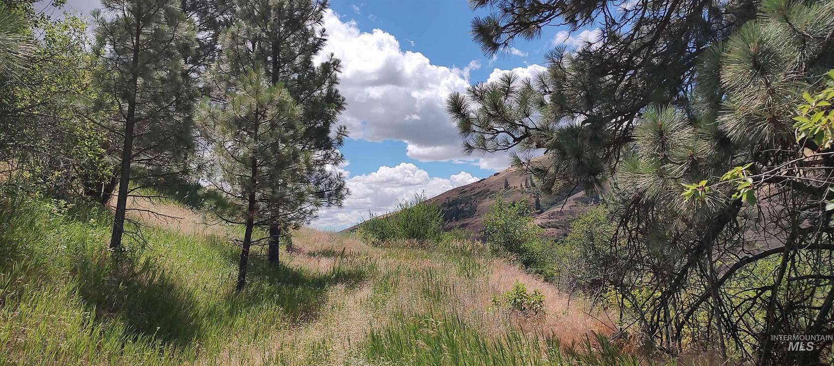 23.2 Acres of Land for Sale in Juliaetta, Idaho