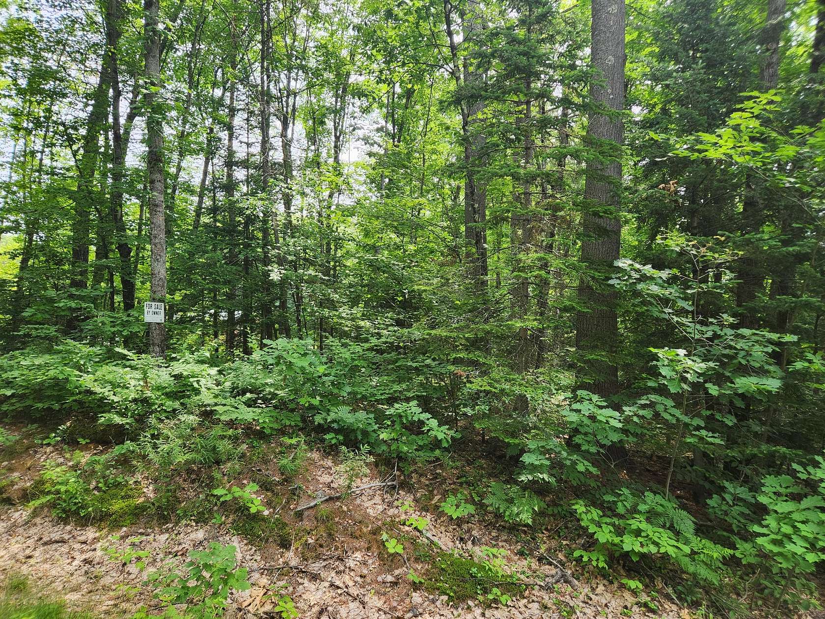 1 Acre of Land for Sale in Paris, Maine