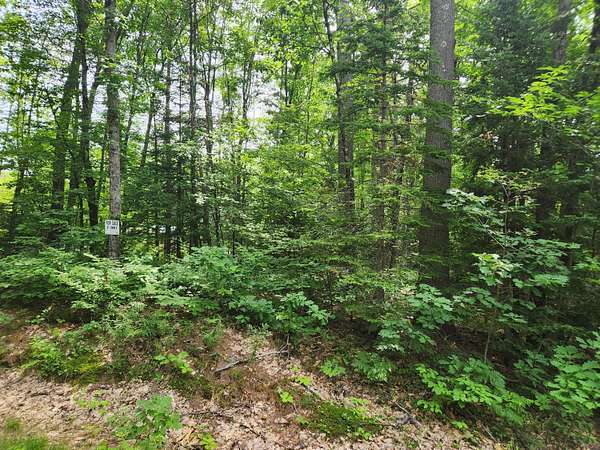 1 Acre of Land for Sale in Paris, Maine