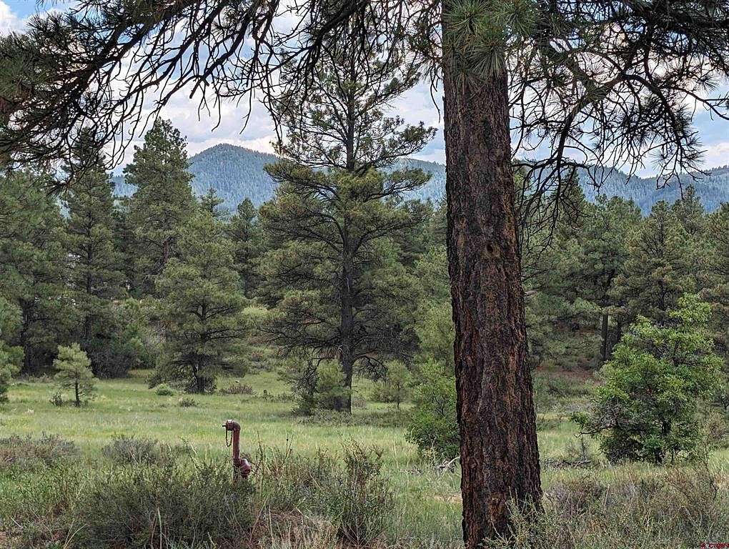 0.27 Acres of Residential Land for Sale in Pagosa Springs, Colorado