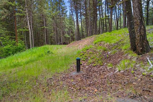 20 Acres of Recreational Land for Sale in Clinton, Montana