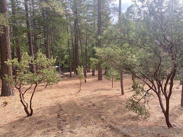 Residential Land for Sale in Idyllwild, California