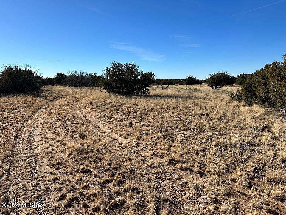 37 Acres of Land for Sale in St. Johns, Arizona