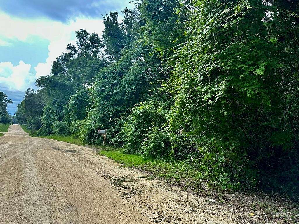 0.23 Acres of Land for Sale in Chiefland, Florida