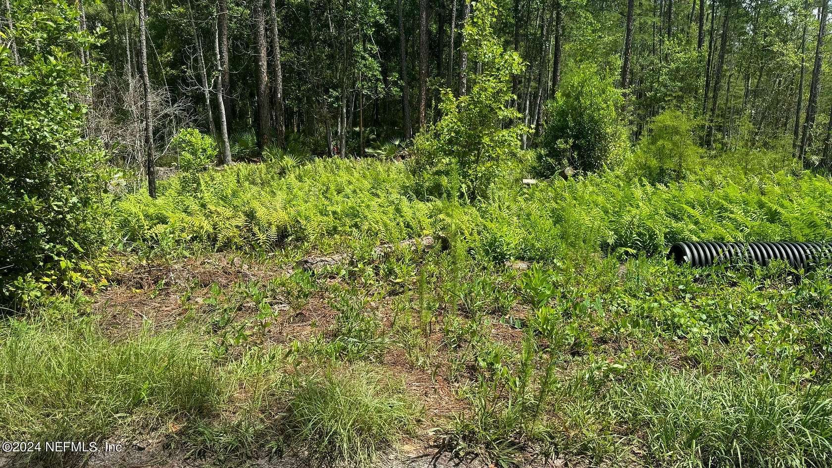 1.25 Acres of Residential Land for Sale in Palatka, Florida