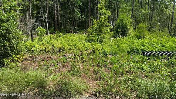 1.25 Acres of Residential Land for Sale in Palatka, Florida