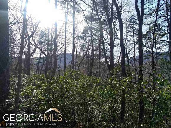 0.95 Acres of Residential Land for Sale in Clayton, Georgia