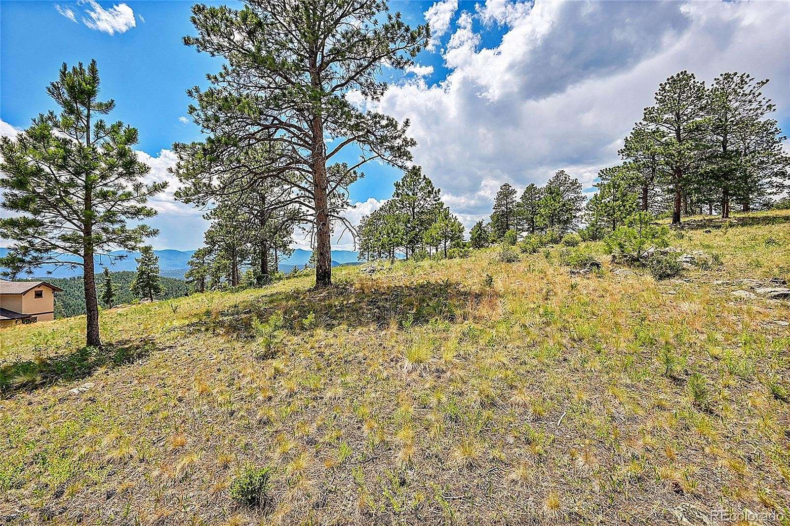 5.11 Acres of Land for Sale in Pine Grove, Colorado