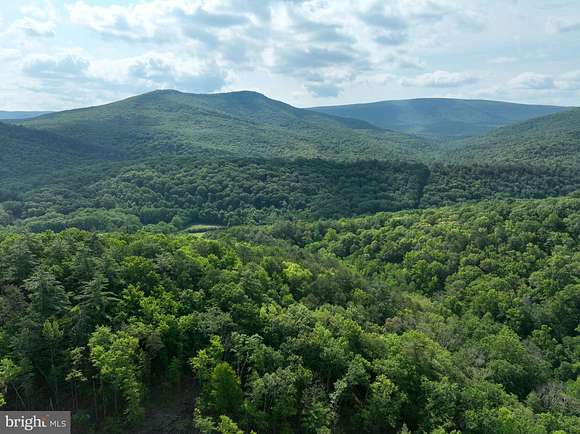 686.1 Acres of Recreational Land for Sale in Wardensville, West Virginia