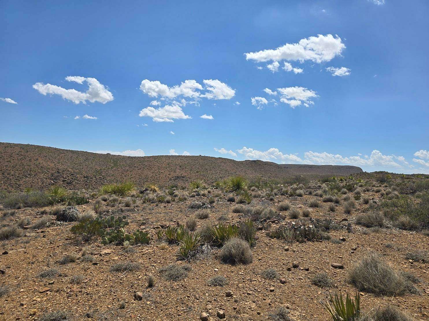 24 Acres of Recreational Land for Sale in Alpine, Texas