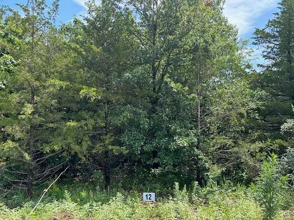 3 Acres of Residential Land for Sale in Monroe City, Missouri