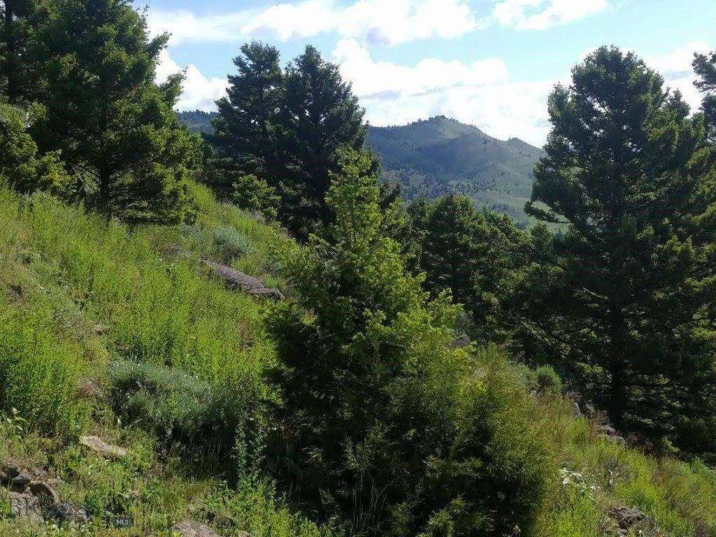 20.13 Acres of Land for Sale in Livingston, Montana