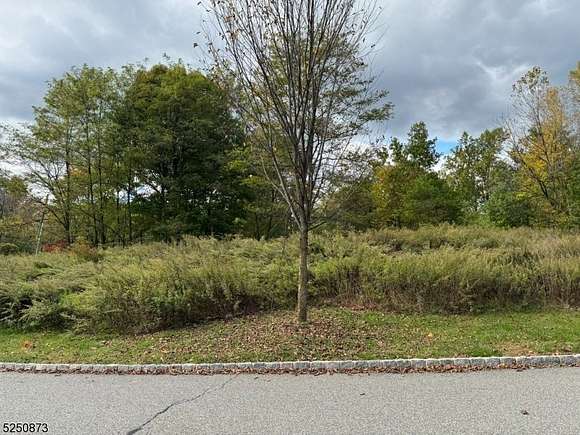 2.99 Acres of Residential Land for Sale in Montville Township, New Jersey