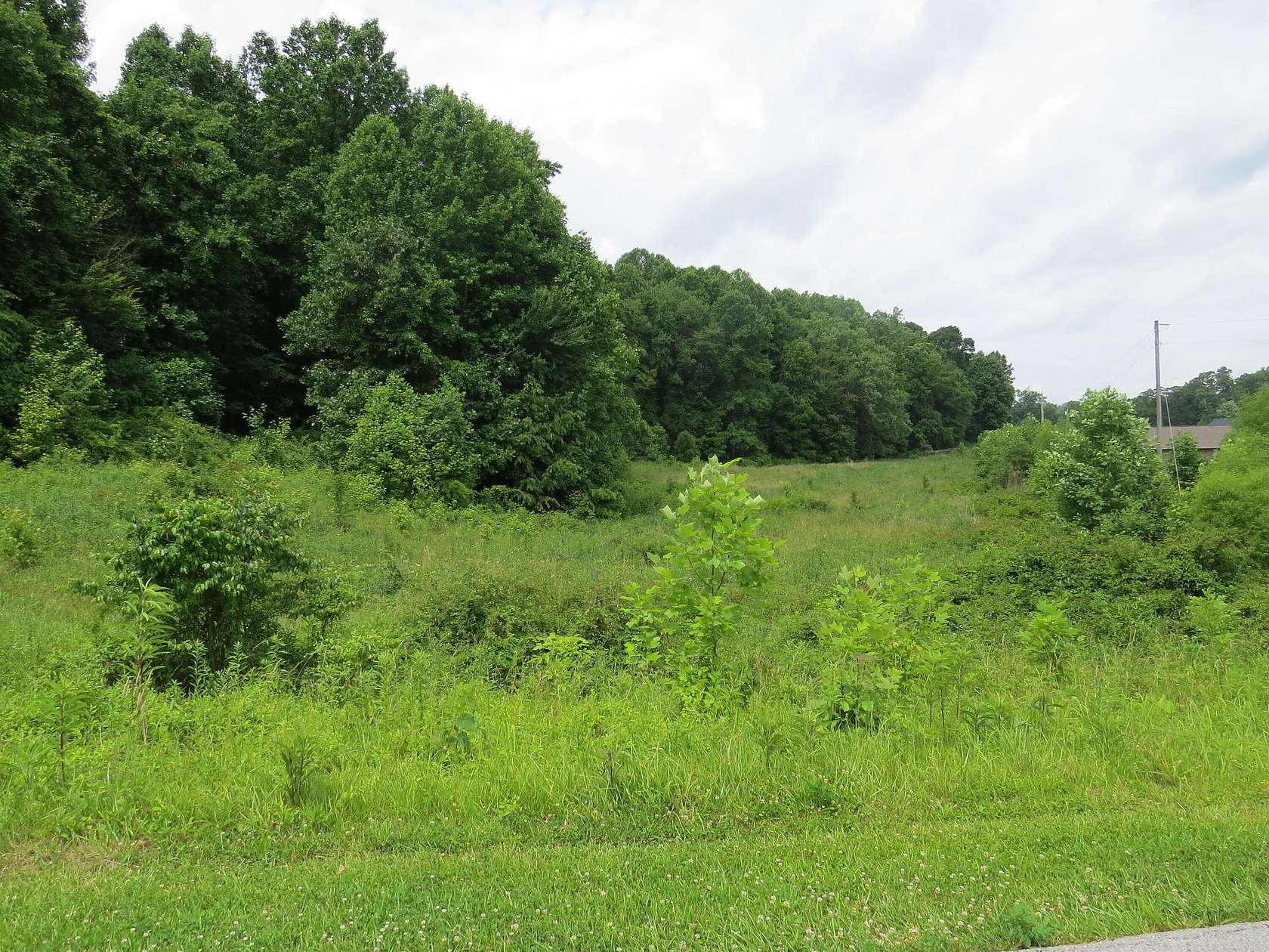 8.8 Acres of Residential Land for Sale in Gray, Kentucky