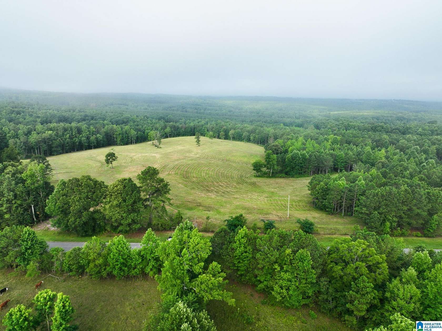 168 Acres of Recreational Land & Farm for Sale in Woodland, Alabama