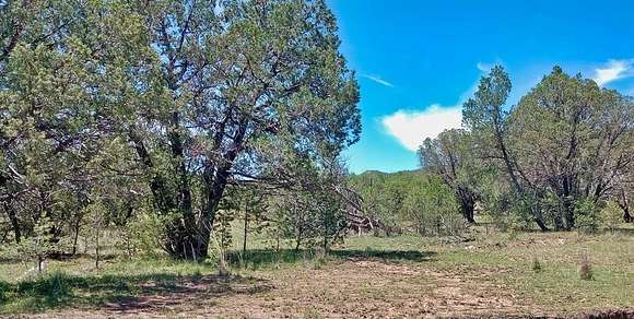 5 Acres of Land for Sale in Fort Davis, Texas