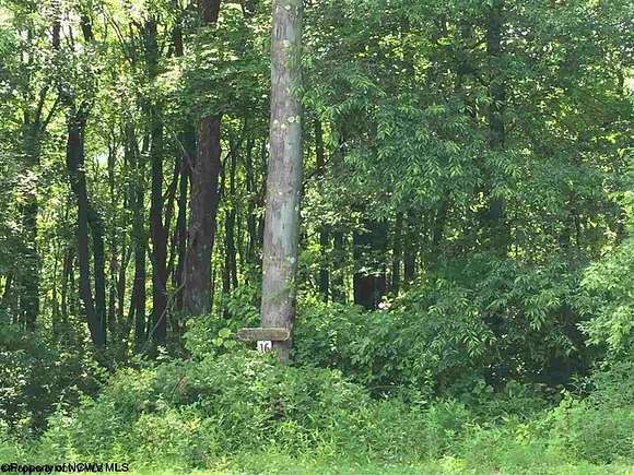 Residential Land for Sale in Hazelton, West Virginia