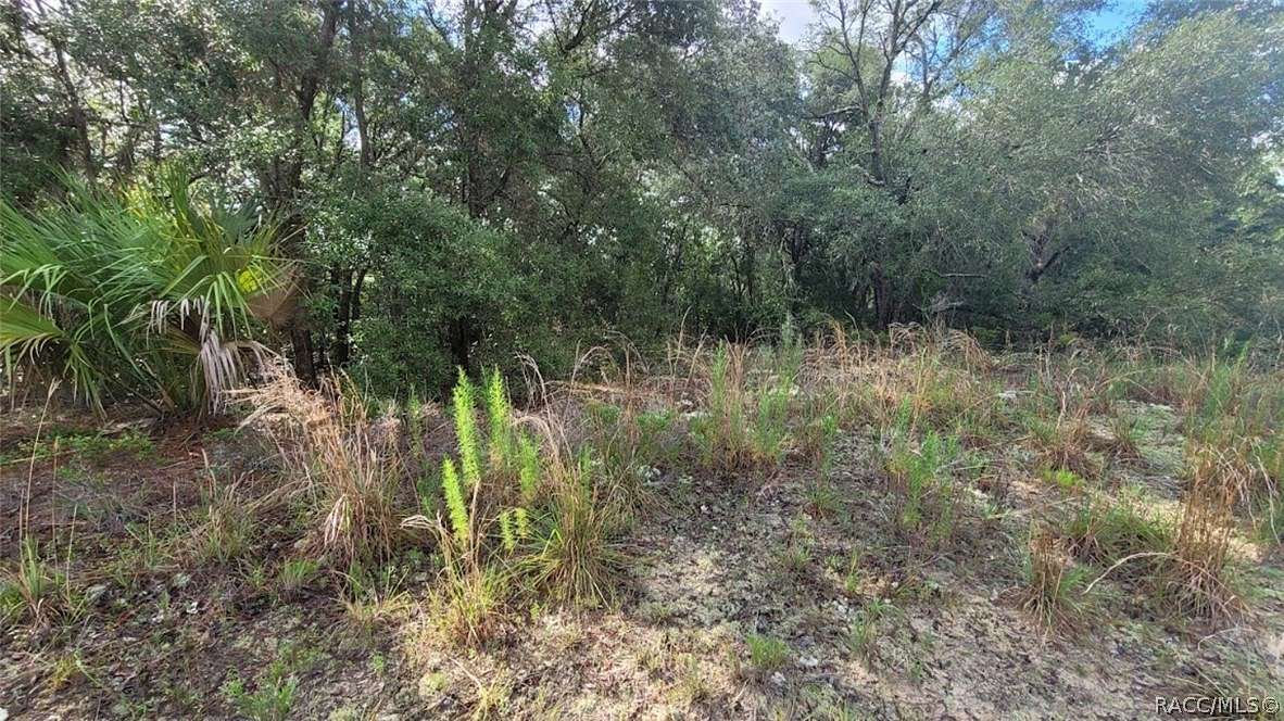 0.23 Acres of Land for Sale in Citrus Springs, Florida