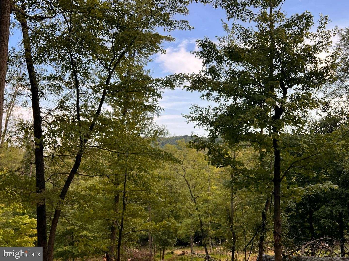 4.73 Acres of Land for Sale in Hedgesville, West Virginia